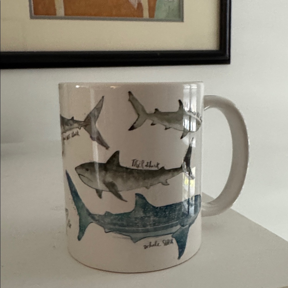 Shark Identification Coffee Mug Ocean Life Marine Biology